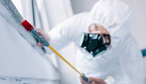 Pest Control for Hotels in Kingman, AZ